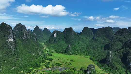 蓝天白云阳光下桂林山谷中的草地和牛群