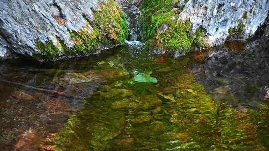 春天阳光下的小溪流石头苔藓视频素材模板下载