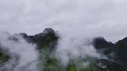 高山绿色森林云雾萦绕