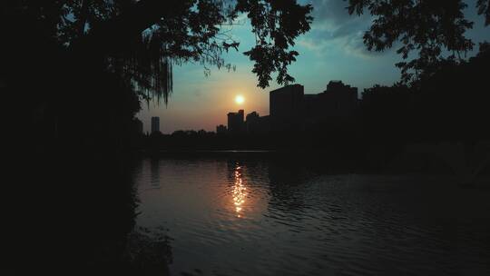 公园的夕阳落日视频素材模板下载
