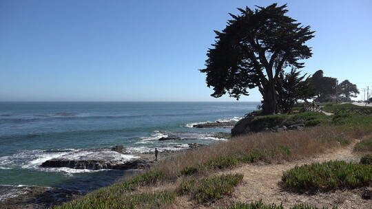 海浪拍打着加州海岸