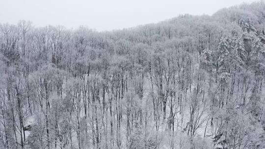 冬季唯美雪景