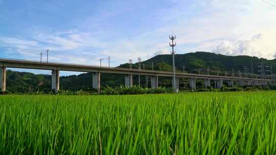 田野上高架桥高铁驶过风景