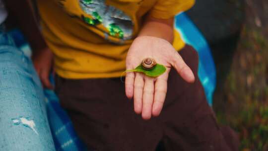儿童在幼儿园与叶子上的蜗牛一起探索自然，