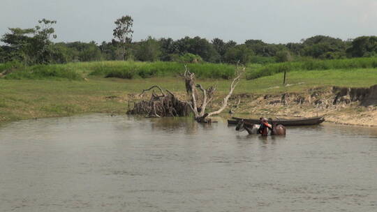 在河水里洗马的男人
