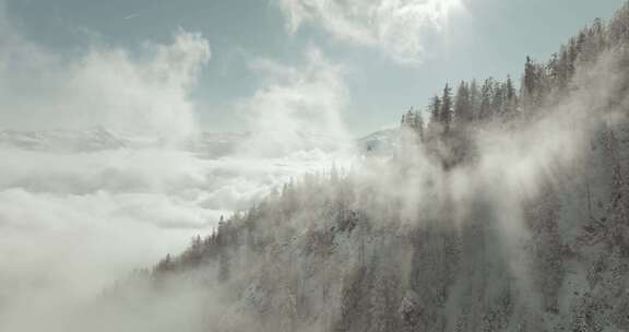 蒂罗尔阿尔卑斯山，雪，山脉，森林