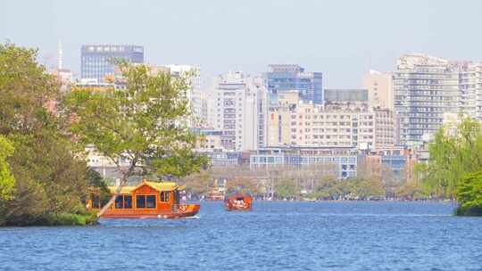 杭州西湖春天风景