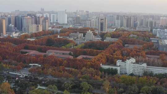 航拍西安交通大学秋景