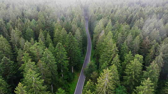 汽车穿过森林公路的航拍镜头