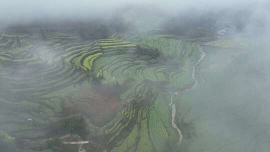 航拍灵山梯田