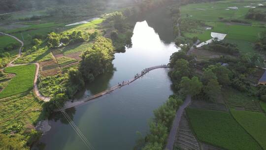 桂林遇龙河稻田