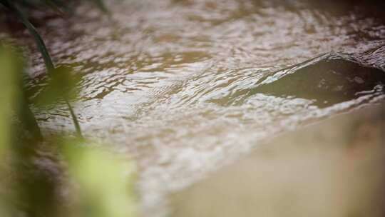 小河流淌-水流水资源灌溉