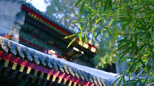 中国园林古建筑与绿竹背景视频素材模板下载