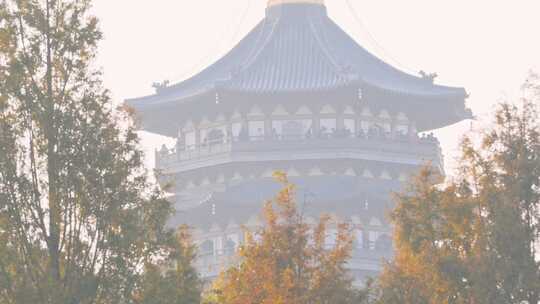 杭州西湖雷峰塔日落黄昏建筑风景