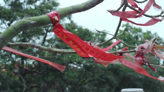 视频素材寺庙的祈福红色丝带