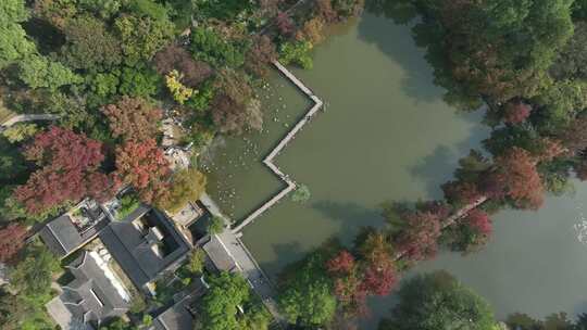 苏州天平山秋色秋韵（航拍16:9原片素材）