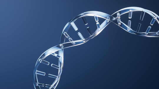 带有生物学概念的DNA