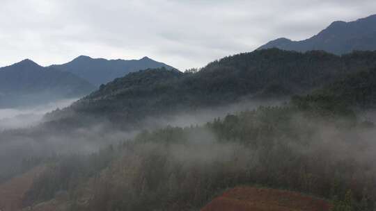 云雾环绕着山村