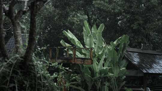 雨，湿，房子，滴