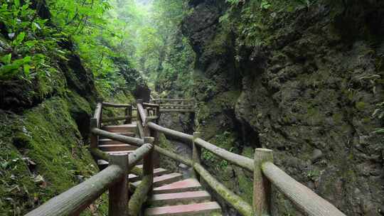 成都青城山后山峡谷森林步道溪流自然景观