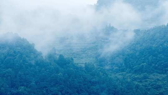 雨季大山云雾缭绕延时摄影