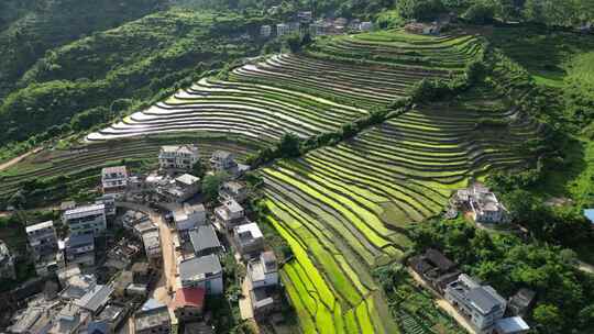 客都广东梅州市大埔县坪山梯田景点航拍