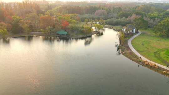 上海共青森林公园秋天风景  上海秋天