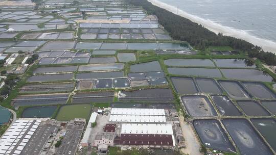 沿海水产养殖基地航拍