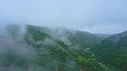 烟雨云雾缭绕的青山航拍