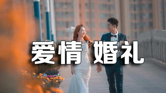 有情人终成眷属婚纱订婚婚礼婚纱