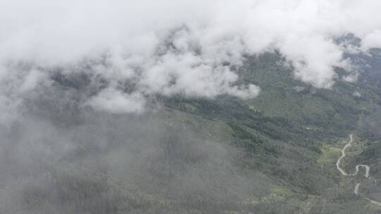 云层下的原始森林