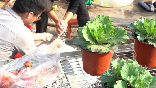 土 盆栽土  翻土 肥料土