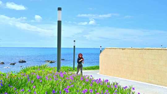 海南三亚天空海洋椰林鲜花小道唯美慢镜头