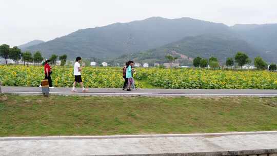 浙江瑞安曹村镇风光