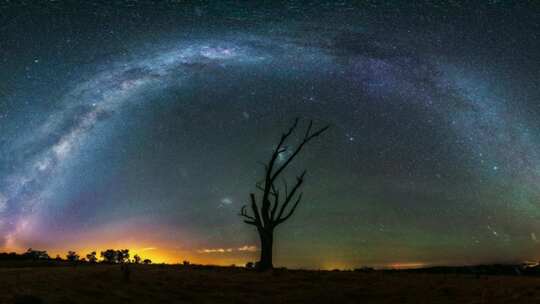 孤独的树拱形星空银河延时