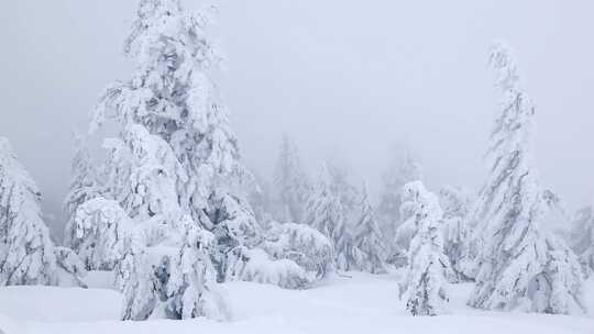 暴风雪的情景