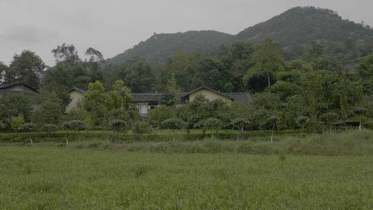 乡野小院