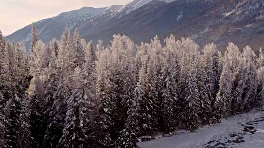 新疆喀纳斯禾木冬季雪景