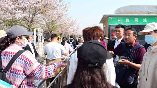 游客进景区 拥挤 人群 旅游