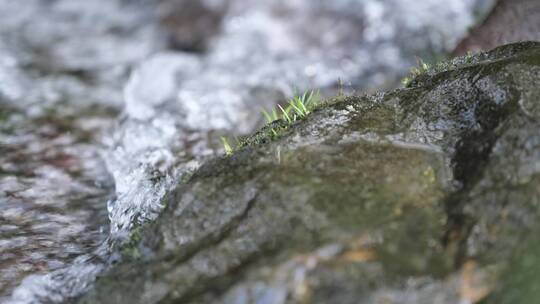 河谷大自然山泉水