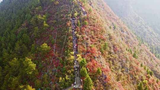 长江三峡巫峡红叶