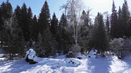 航拍新疆冬季喀纳斯河流晨雾雪山森林雪景