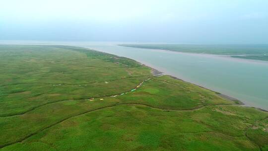 航拍上海长江口九段沙湿地自然保护区