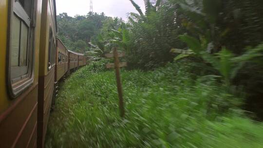 一辆古老的蒸汽火车穿过茂密的丛林