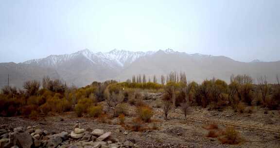 （合集）新疆石头城古城遗址历史传统文化