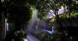 中式古典建筑 丁达尔唯美光影晨雾树林高清在线视频素材下载