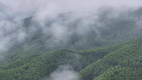 云雾缭绕的山林自然景观