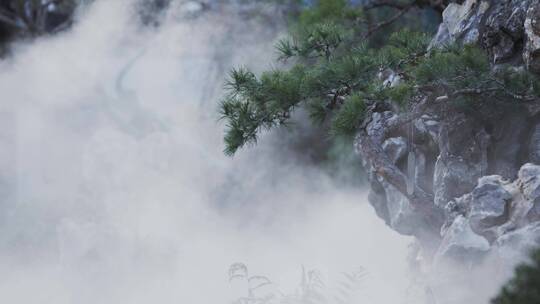 景观水池假山假石