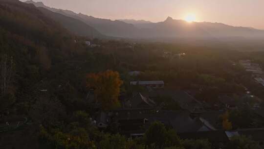 古观音禅寺银杏树秋景