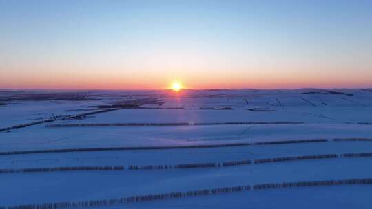 雪后垦区田野夕阳时的唯美时刻